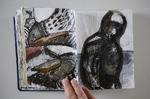 cuadernos | carnet-2011 | &copy; patrice de Santa Coloma