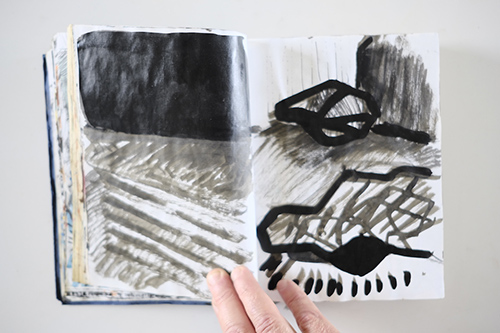 cuadernos | carnet-2011 | &copy; patrice de Santa Coloma