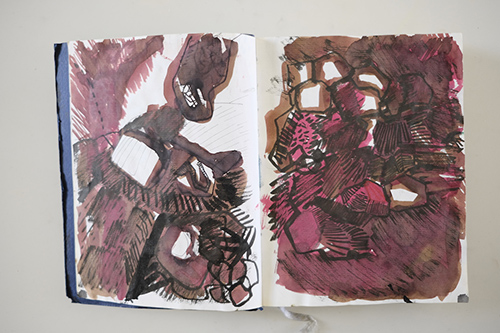 cuadernos | carnet-2011 | &copy; patrice de Santa Coloma