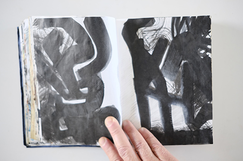 cuadernos | carnet-2011 | &copy; patrice de Santa Coloma