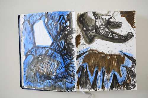 cuadernos | carnet-2011 | &copy; patrice de Santa Coloma