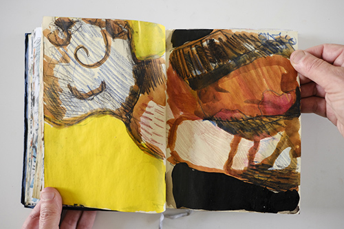 cuadernos | carnet-2011 | &copy; patrice de Santa Coloma