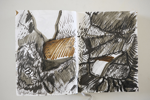 cuadernos | carnet-2011 | &copy; patrice de Santa Coloma