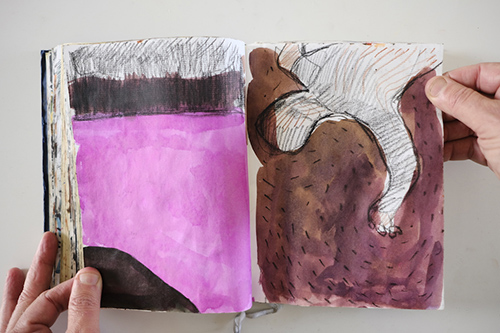 cuadernos | carnet-2011 | &copy; patrice de Santa Coloma