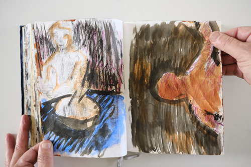 cuadernos | carnet-2011 | &copy; patrice de Santa Coloma
