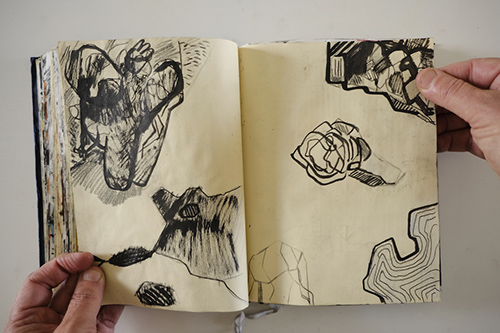 cuadernos | carnet-2011 | &copy; patrice de Santa Coloma