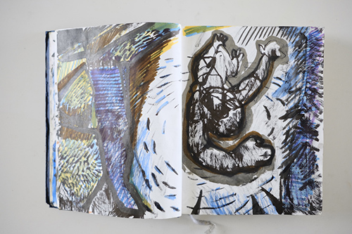 cuadernos | carnet-2011 | &copy; patrice de Santa Coloma