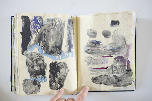 carnets | carnet-2012 | &copy; patrice de Santa Coloma