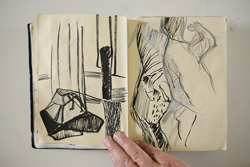 carnets | carnet-2012 | &copy; patrice de Santa Coloma