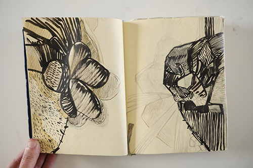 carnets | carnet-2012 | &copy; patrice de Santa Coloma