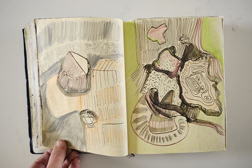 carnets | carnet-2012 | &copy; patrice de Santa Coloma