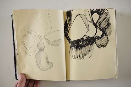 carnets | carnet-2012 | &copy; patrice de Santa Coloma