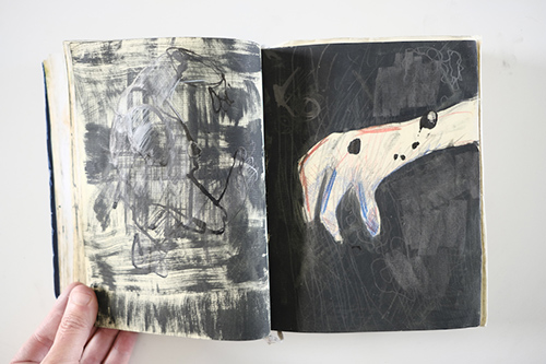 carnets | carnet-2012 | &copy; patrice de Santa Coloma