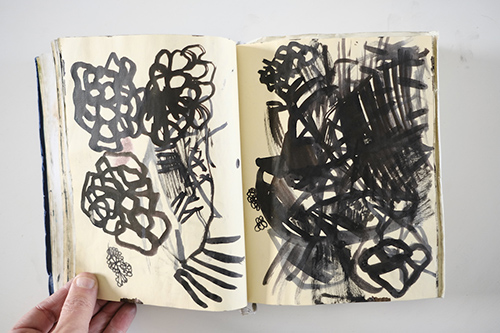 carnets | carnet-2012 | &copy; patrice de Santa Coloma