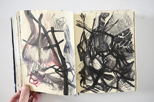 carnets | carnet-2012 | &copy; patrice de Santa Coloma