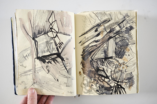 carnets | carnet-2012 | &copy; patrice de Santa Coloma