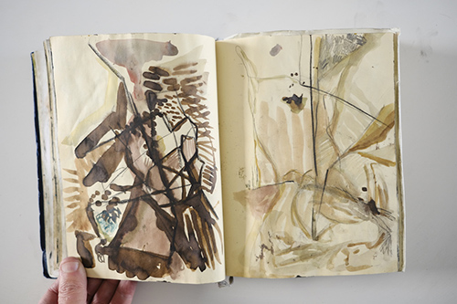 carnets | carnet-2012 | &copy; patrice de Santa Coloma