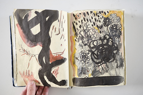 carnets | carnet-2012 | &copy; patrice de Santa Coloma