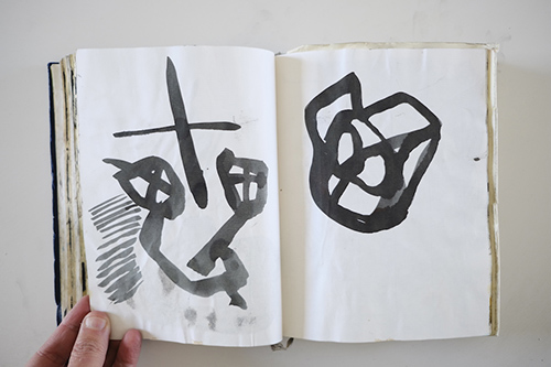 carnets | carnet-2012 | &copy; patrice de Santa Coloma