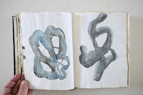 carnets | carnet-2012 | &copy; patrice de Santa Coloma