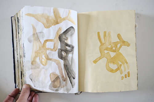 carnets | carnet-2012 | &copy; patrice de Santa Coloma