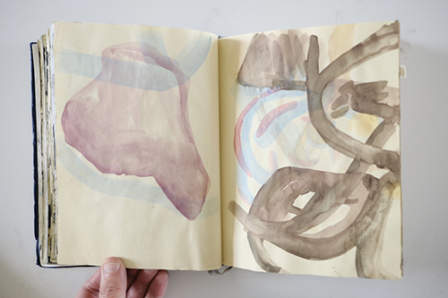 carnets | carnet-2012 | &copy; patrice de Santa Coloma