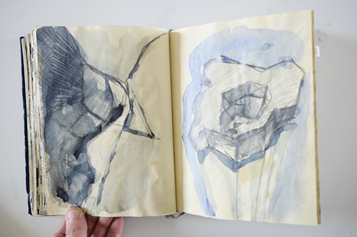 carnets | carnet-2012 | &copy; patrice de Santa Coloma