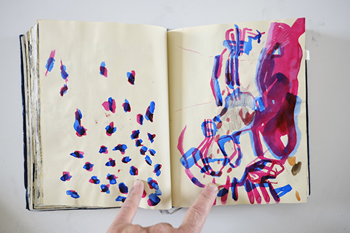 carnets | carnet-2012 | &copy; patrice de Santa Coloma