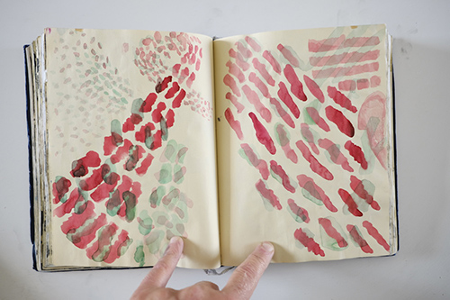 carnets | carnet-2012 | &copy; patrice de Santa Coloma