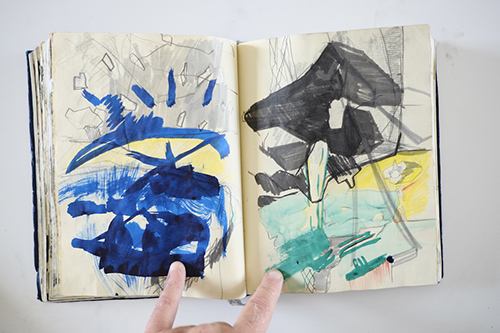 carnets | carnet-2012 | &copy; patrice de Santa Coloma