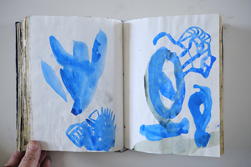 carnets | carnet-2012 | &copy; patrice de Santa Coloma