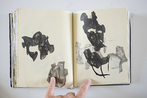 carnets | carnet-2012 | &copy; patrice de Santa Coloma