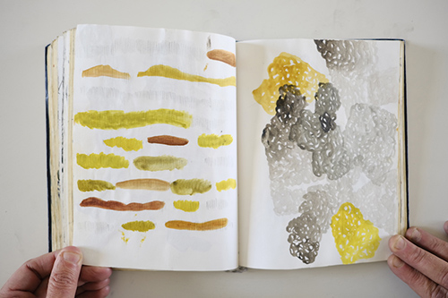 cuadernos | carnet-2013 | &copy; patrice de Santa Coloma
