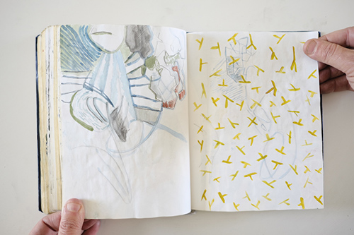 cuadernos | carnet-2013 | &copy; patrice de Santa Coloma