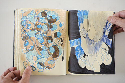 cuadernos | carnet-2013 | &copy; patrice de Santa Coloma