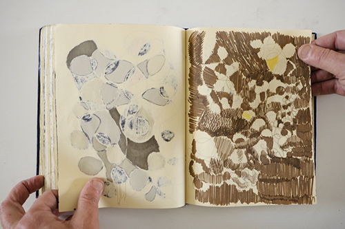 cuadernos | carnet-2013 | &copy; patrice de Santa Coloma