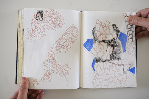 cuadernos | carnet-2013 | &copy; patrice de Santa Coloma