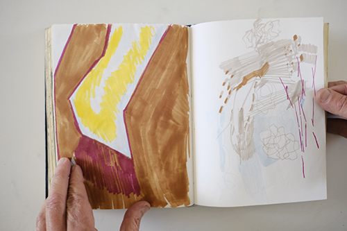 cuadernos | carnet-2013 | &copy; patrice de Santa Coloma