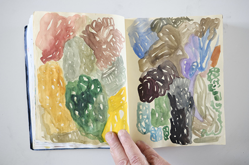 cuadernos | carnet-2013 | &copy; patrice de Santa Coloma