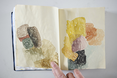 cuadernos | carnet-2013 | &copy; patrice de Santa Coloma