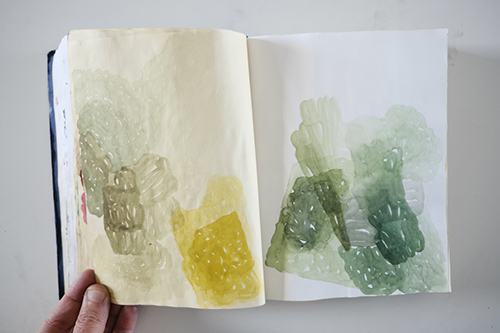 cuadernos | carnet-2013 | &copy; patrice de Santa Coloma