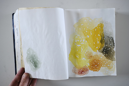 cuadernos | carnet-2013 | &copy; patrice de Santa Coloma