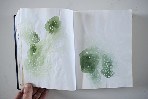cuadernos | carnet-2013 | &copy; patrice de Santa Coloma