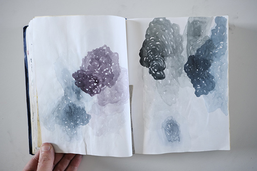 cuadernos | carnet-2013 | &copy; patrice de Santa Coloma