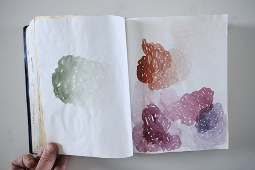 cuadernos | carnet-2013 | &copy; patrice de Santa Coloma