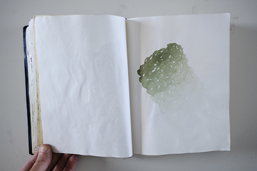 cuadernos | carnet-2013 | &copy; patrice de Santa Coloma