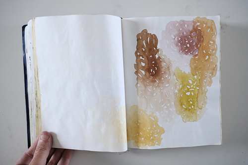cuadernos | carnet-2013 | &copy; patrice de Santa Coloma