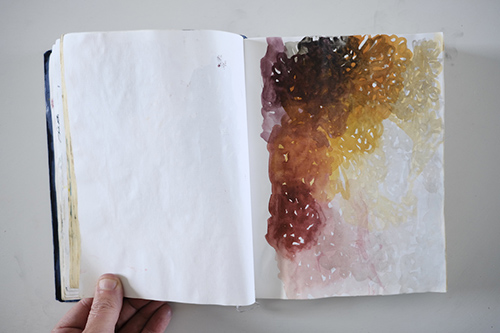cuadernos | carnet-2013 | &copy; patrice de Santa Coloma