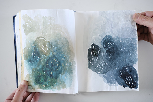 cuadernos | carnet-2013 | &copy; patrice de Santa Coloma