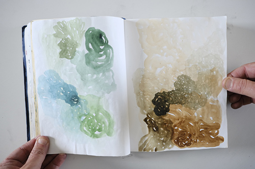 cuadernos | carnet-2013 | &copy; patrice de Santa Coloma
